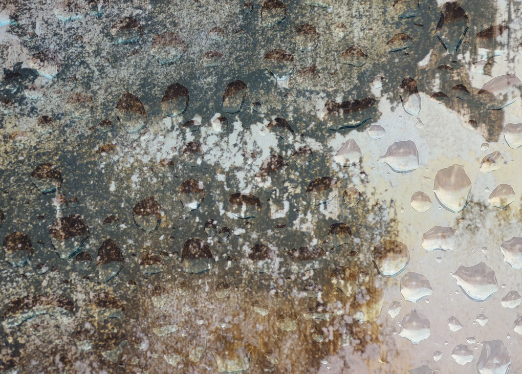 Mould