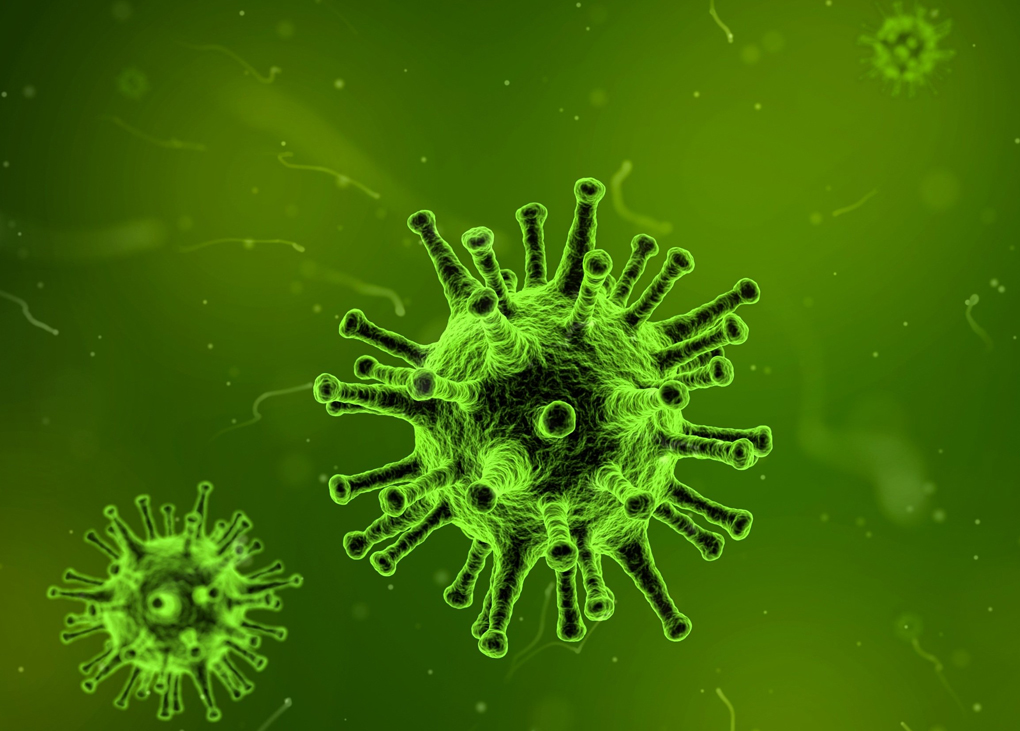 Coronavirus