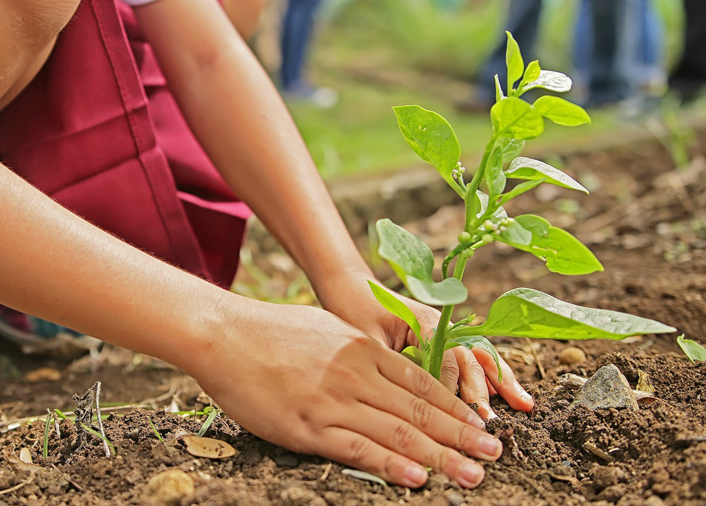 Environmental performance grants