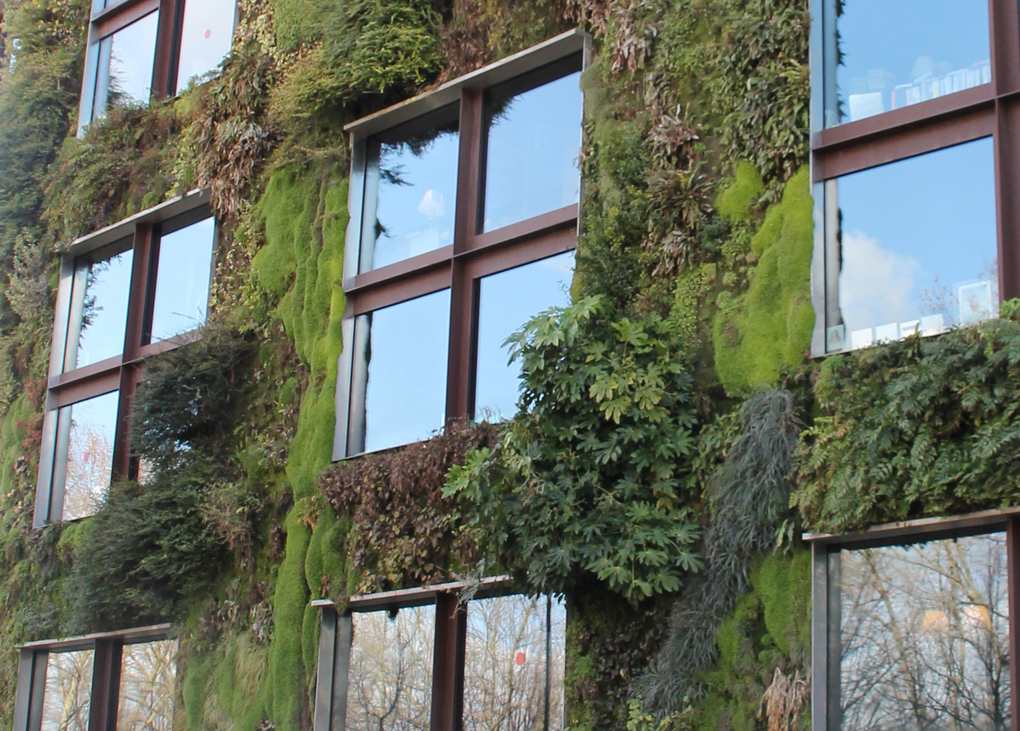 Net zero
