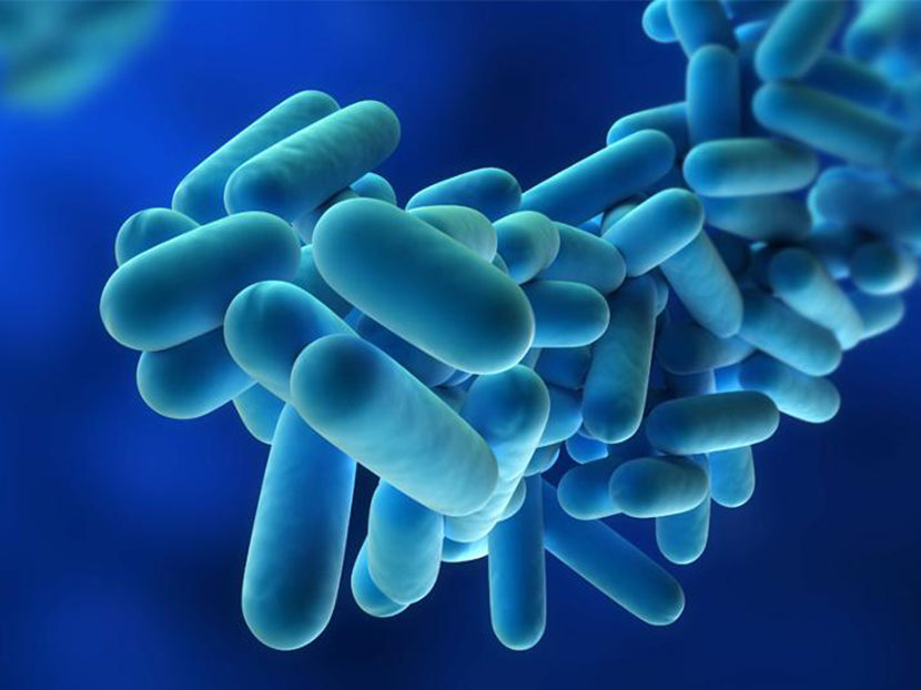 Legionnaires' outbreak